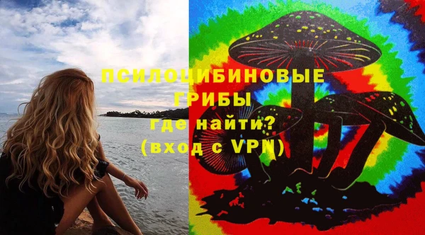 мдпв Каменногорск