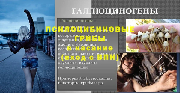 винт Карпинск