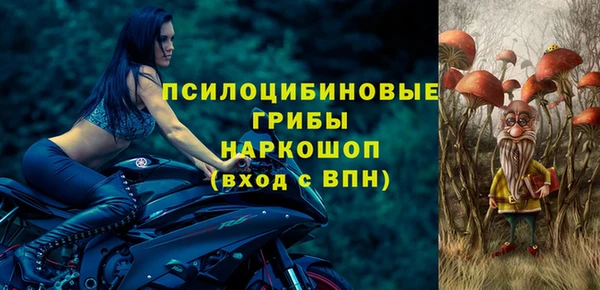 винт Карпинск