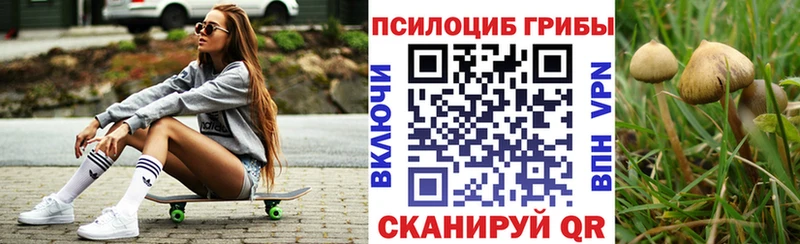 Галлюциногенные грибы GOLDEN TEACHER Володарск